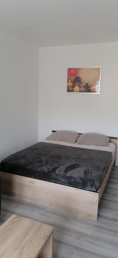 Appartement Avec Balcon Et Parking Prive Roanne Exterior photo