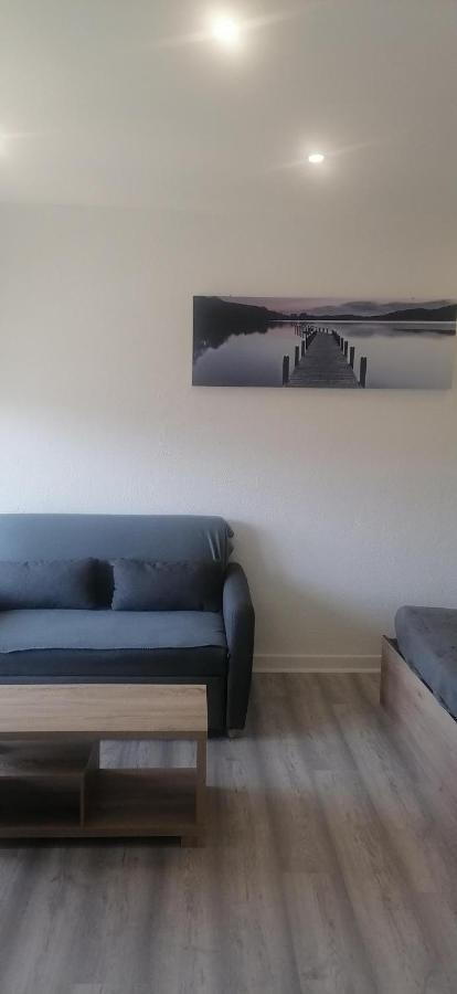Appartement Avec Balcon Et Parking Prive Roanne Exterior photo